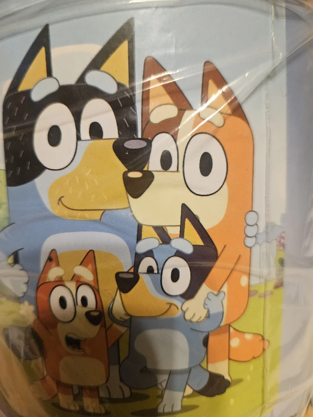 Bluey soft plush